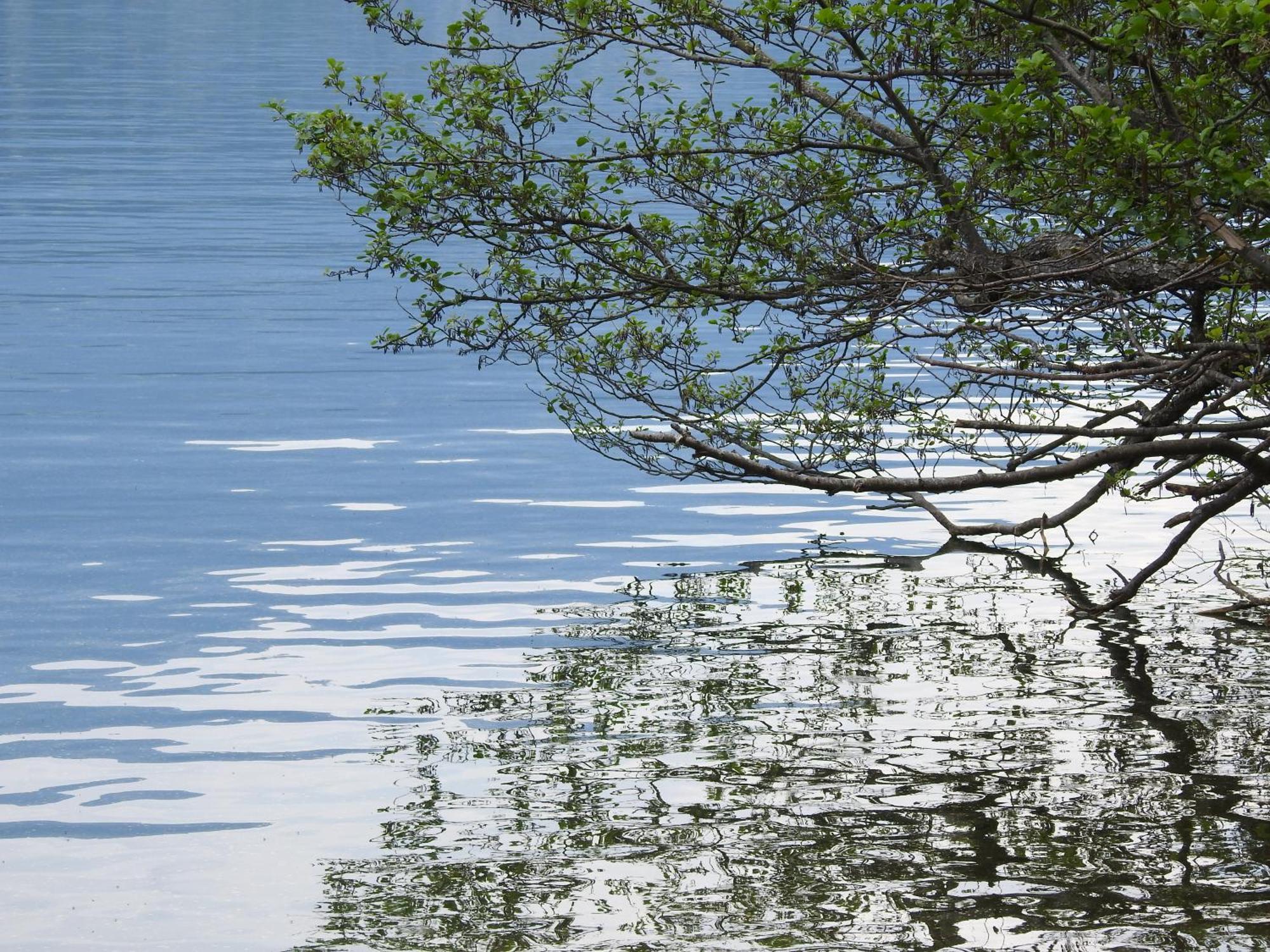 Villa Rauter Seeboden Bagian luar foto
